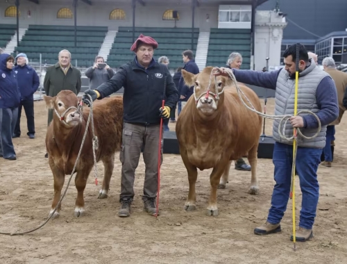 Palermo 2026: Tim Payne y Tini Tini inauguraron el ingreso de animales a la Exposición Rural